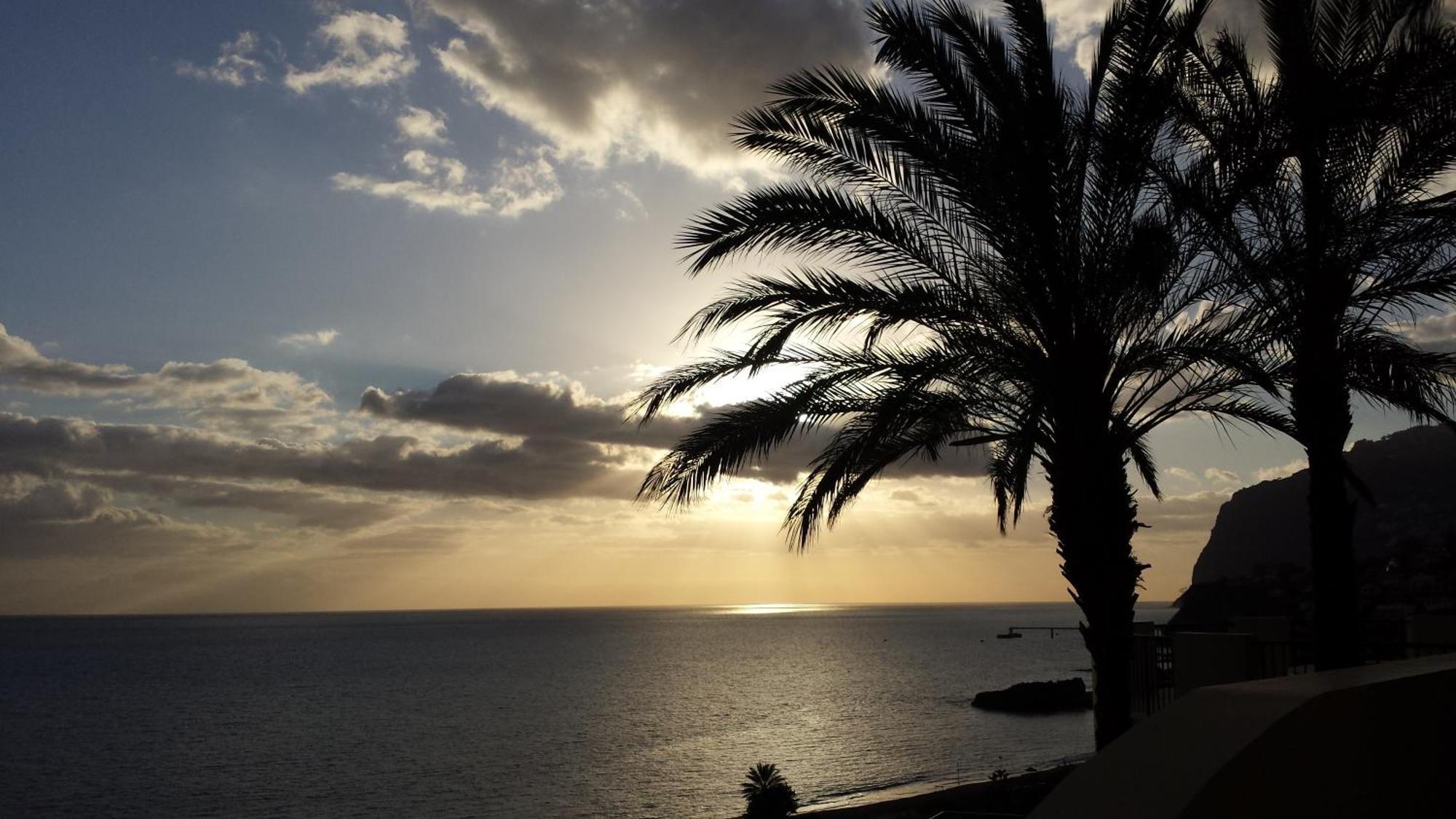 Formosa Infinity Pool Apartment Funchal Dış mekan fotoğraf